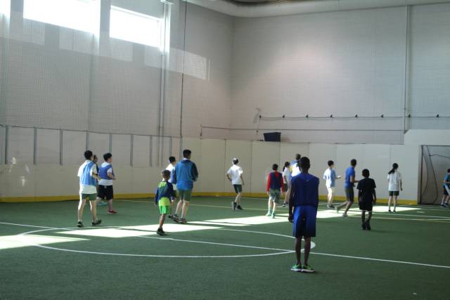 美国游学全攻略,美国游学实录100例