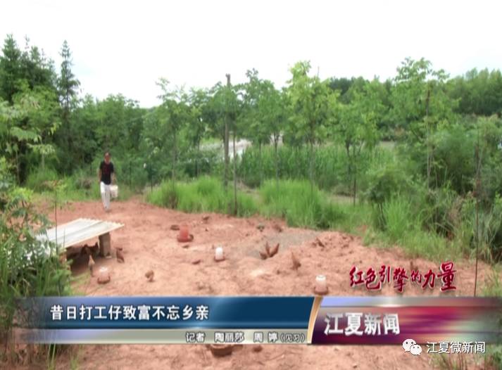 新闻三分钟晓知天下事,江夏新闻阅读两分钟