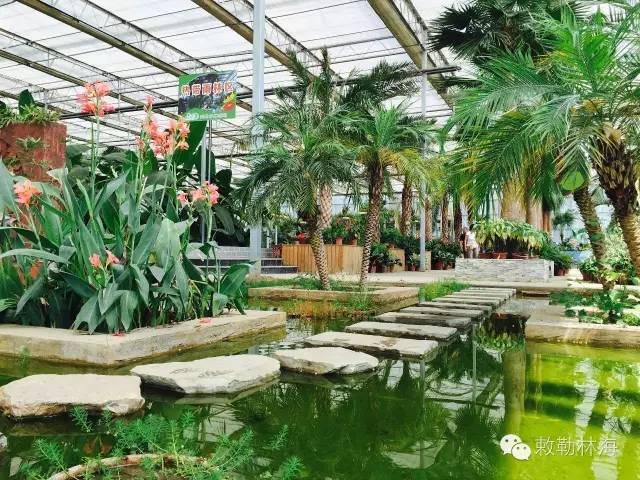 呼和浩特避暑旅游,呼和浩特周边避暑一日游