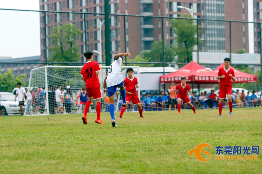 东莞麻涌足球赛,东莞市第九届田径运动会