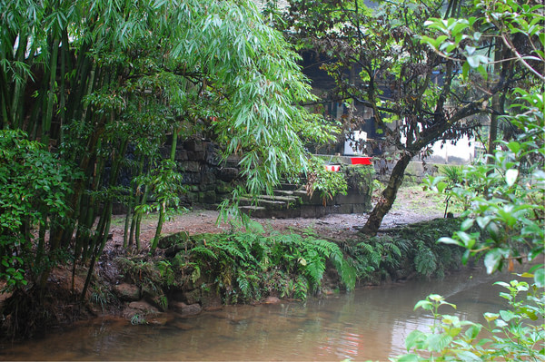 四川热天去哪玩凉快又好玩,四川竹海旅游推荐