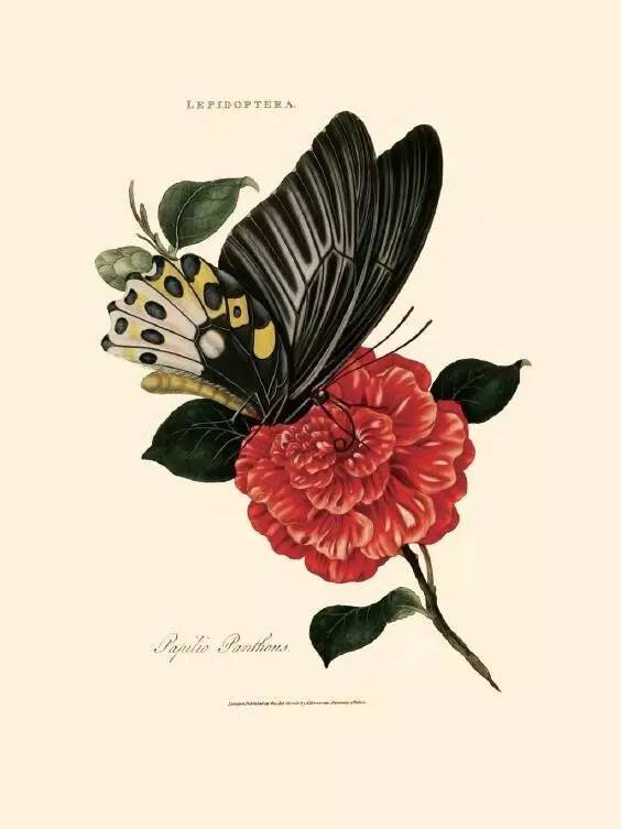 自然好书100本排行榜,自然好书