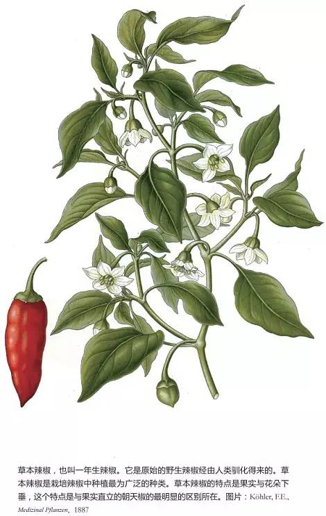 自然好书100本排行榜,自然好书