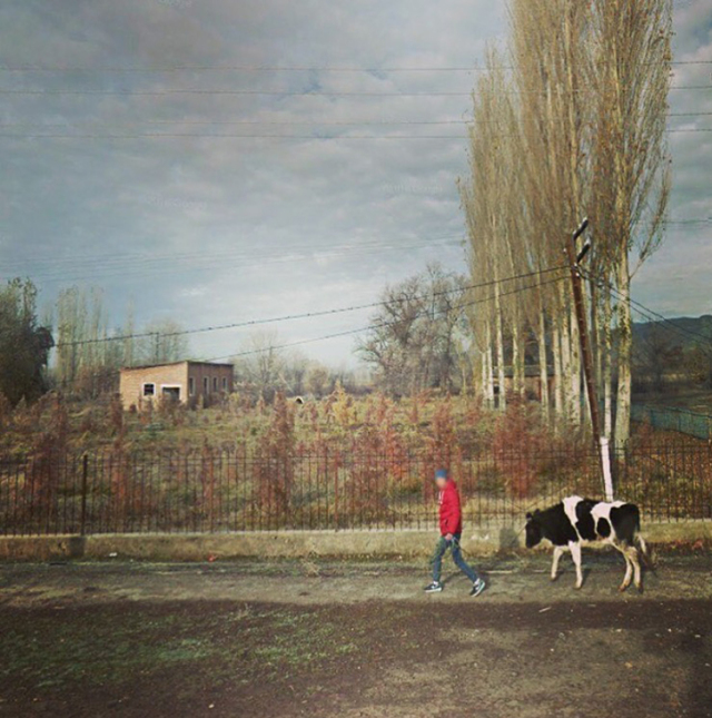 她宅在家里，却用27000张照片记录了与众不同的旅程