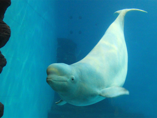 深圳周末去哪里比较凉快 (深圳阴雨游玩)