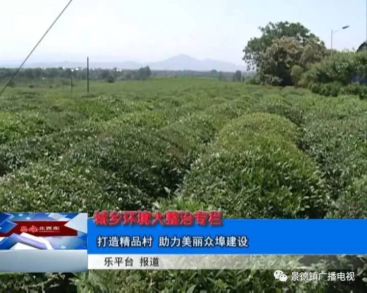 晚上好官方的最新消息,晚上好最新信息