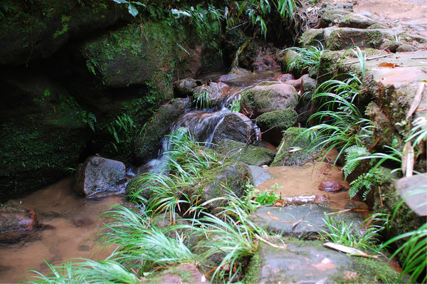 四川热天去哪玩凉快又好玩,四川竹海旅游推荐