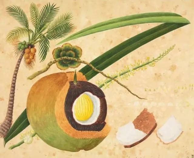 经典的书籍推荐100本好理解的书,北大公认100本好书