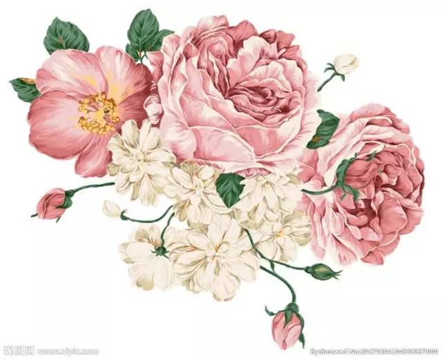 美国游学全攻略,美国游学实录100例