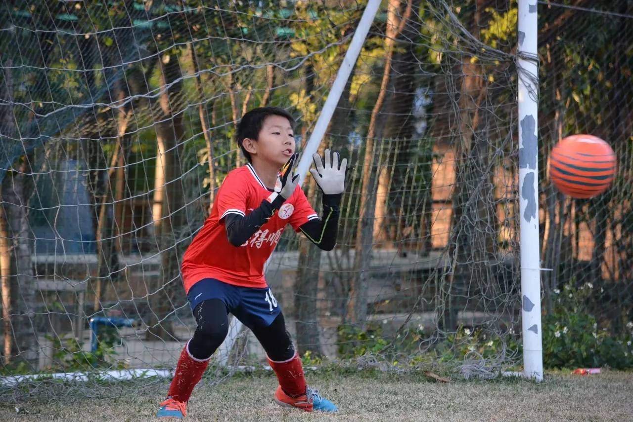 技术能力不够强可以做好管理吗,球员个人能力和战术哪个最重要