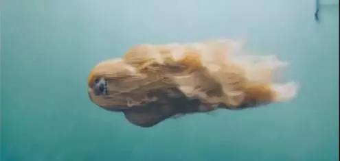 prada做什么的,prada编织回形针