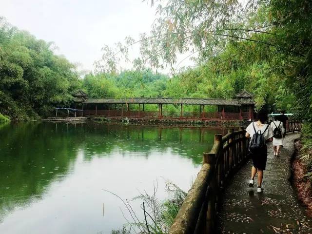 四川热天去哪玩凉快又好玩,四川竹海旅游推荐