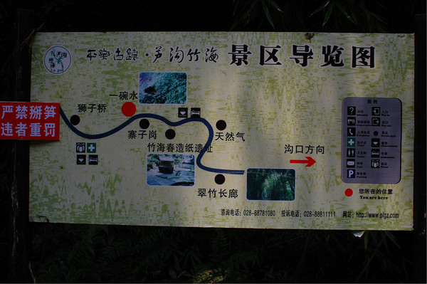四川热天去哪玩凉快又好玩,四川竹海旅游推荐