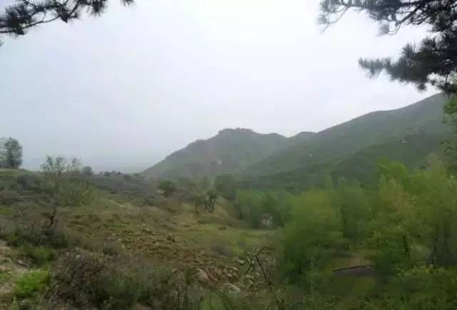 呼和浩特避暑旅游,呼和浩特周边避暑一日游