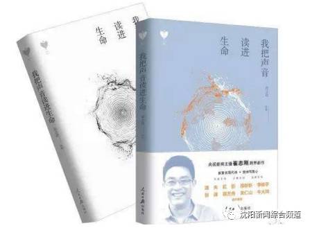 沈阳再添新坐标,沈阳新增新地标