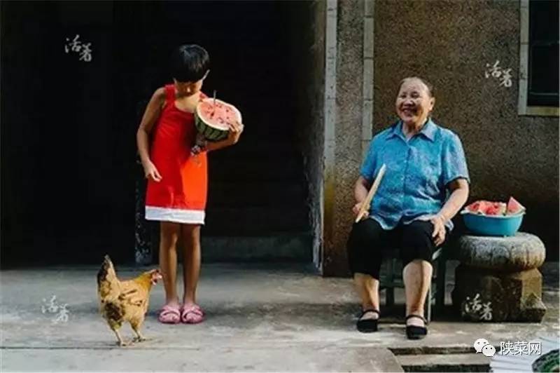 高岩直播,高岩网易云的号