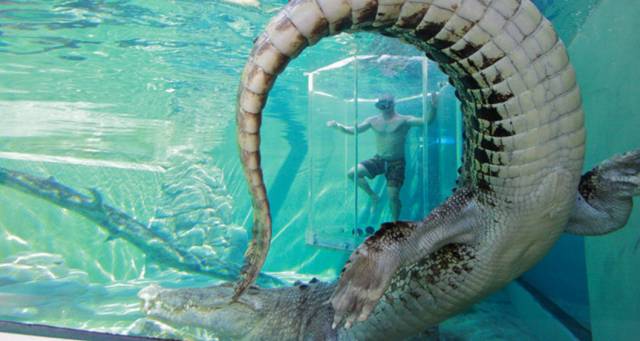 红色狂想曲完整版,红色狂想曲全集解说完整版