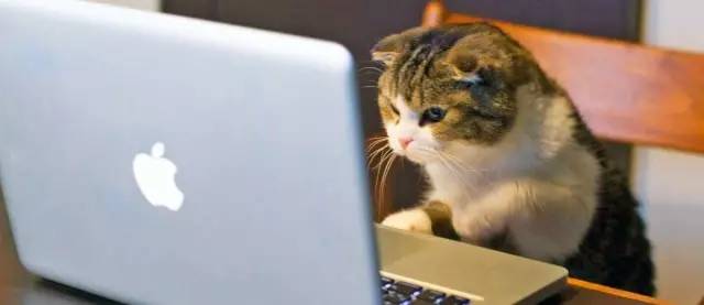 高空作业怎样正确使用安全带,高空作业有防护栏杆需要安全带吗