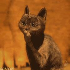 地球上最深的地方在地图上,地球上最深的地方深多少