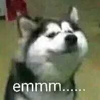 鍑瑰嚫涓栫晫閮芥槸璋佸拰璋佹槸cp,鍑瑰嚫涓栫晫閮芥槸鍏充簬鎭嬬埍鐨勫悧