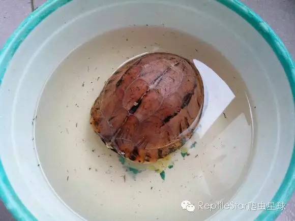 流水账解说dota,流水账跟台账优缺点