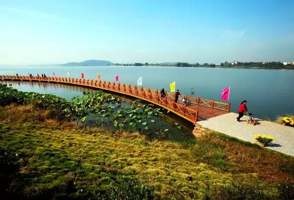 天热了，再不减肥就晚啦！武汉最适合跑步的绿色跑道，看看你家门口有没有