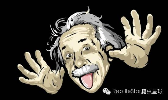 流水账解说dota,流水账跟台账优缺点