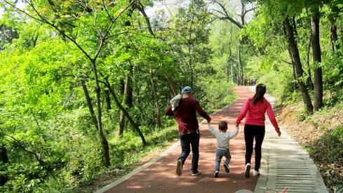 天热了，再不减肥就晚啦！武汉最适合跑步的绿色跑道，看看你家门口有没有