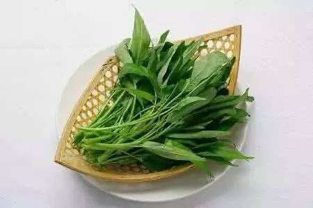 每日资讯热点速报,每日新闻速报最新消息