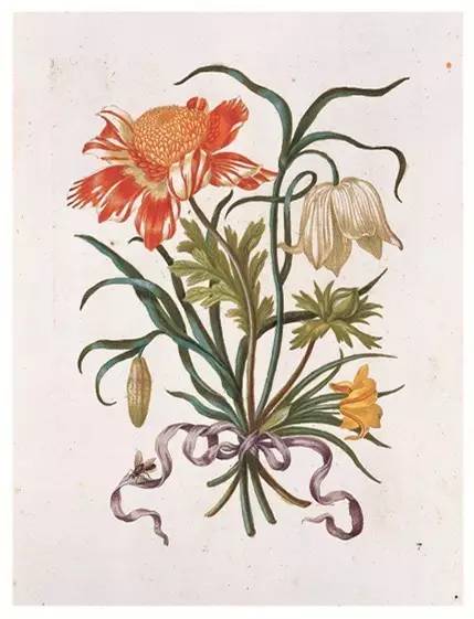 自然好书100本排行榜,自然好书