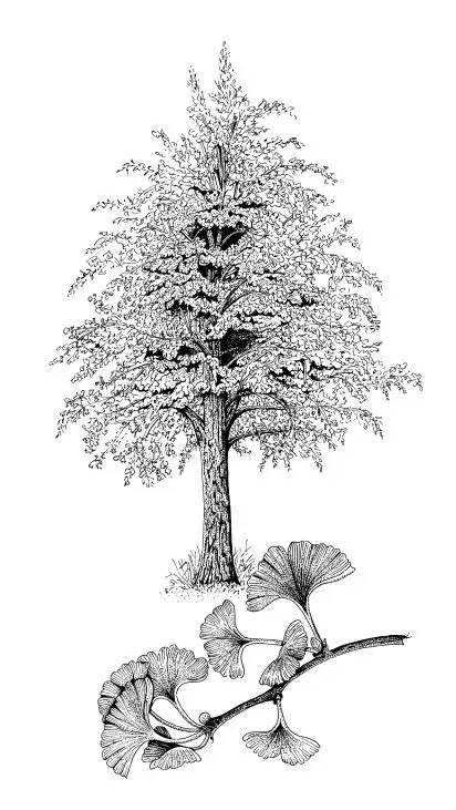 自然好书100本排行榜,自然好书