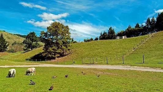 福建浦城一套房子多少钱 (浦城90几万能买到什么房子)