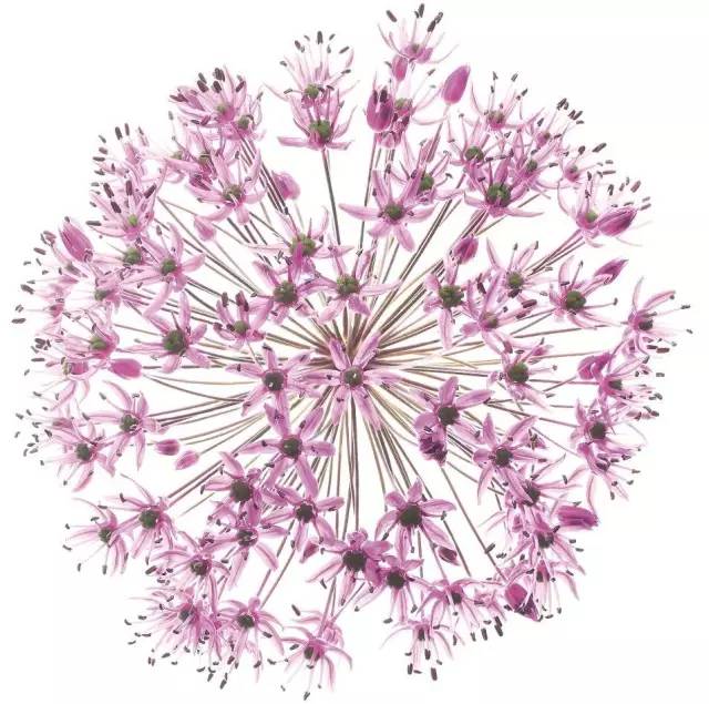 自然好书100本排行榜,自然好书