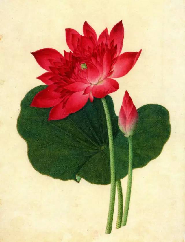 自然好书100本排行榜,自然好书