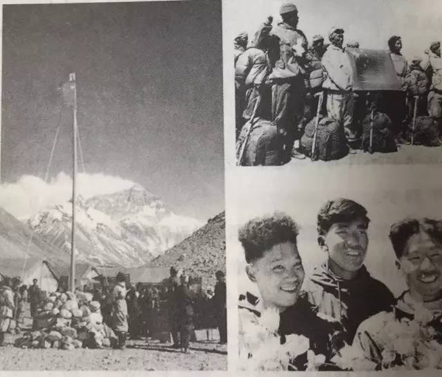 自然好书100本排行榜,自然好书