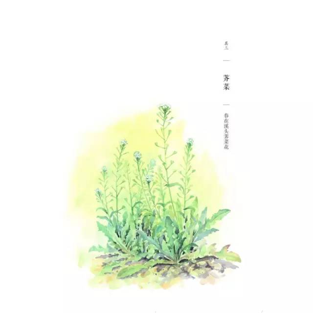 自然好书100本排行榜,自然好书