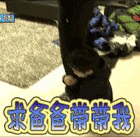 锻炼宝宝脱掉纸尿裤好方法,如何戒掉纸尿裤自主如厕