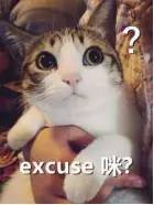 新符文古币返还,旧版符文系统补偿方案