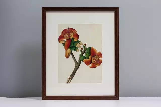 自然好书100本排行榜,自然好书