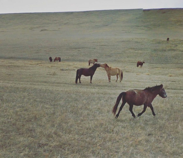 她宅在家里，却用27000张照片记录了与众不同的旅程