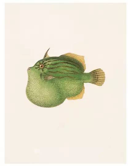 自然好书100本排行榜,自然好书