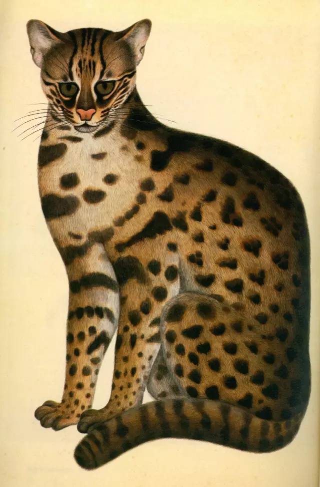 自然好书100本排行榜,自然好书