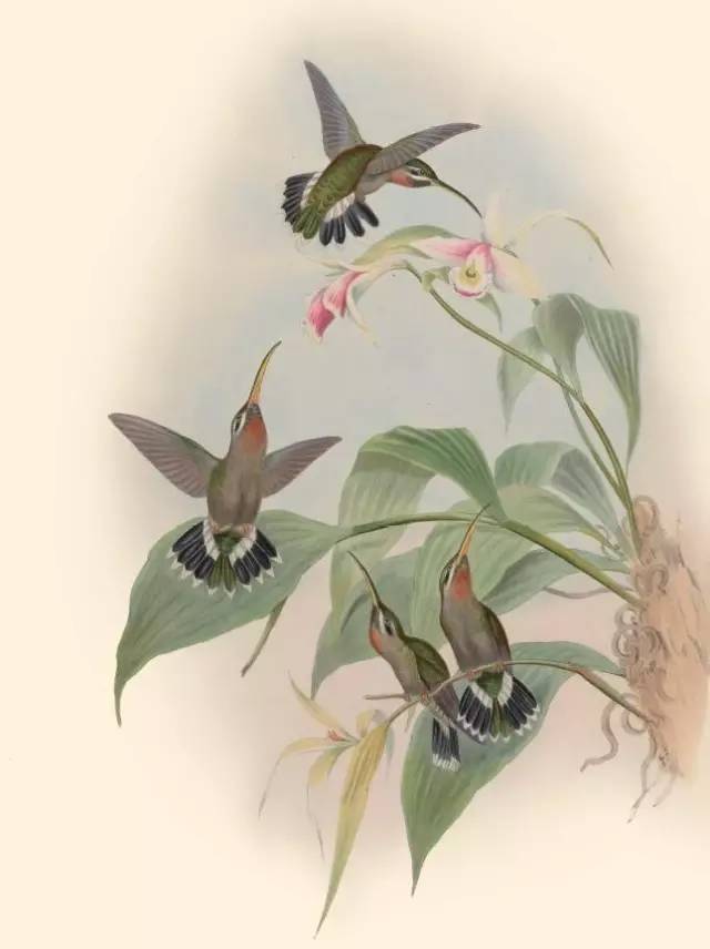 自然好书100本排行榜,自然好书