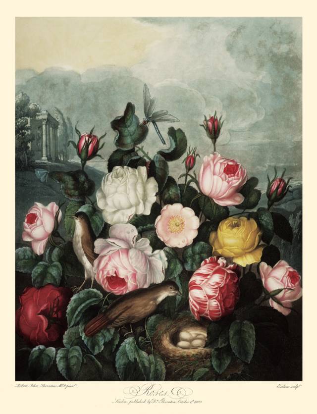 自然好书100本排行榜,自然好书