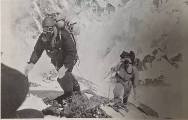 自然好书100本排行榜,自然好书