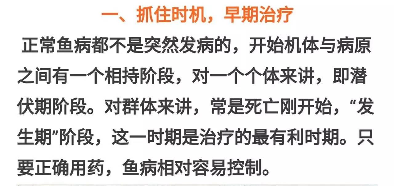 鱼类各种疾病应对方法,水产鱼病防治十大禁忌
