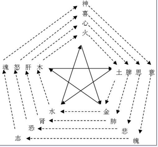 耳穴保健操,耳穴按摩养生视频