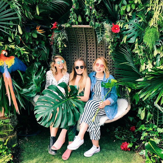 这些网红是靠什么赚钱的,盘点网红最赚钱的几位