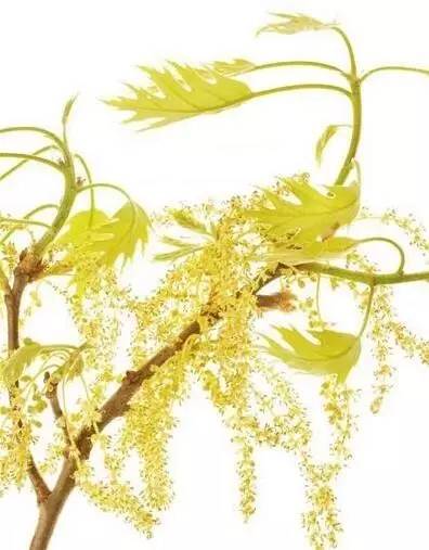 自然好书100本排行榜,自然好书