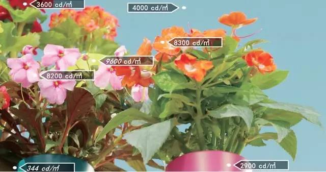 「观潮」4KHDR高动态范围制作技术（上）